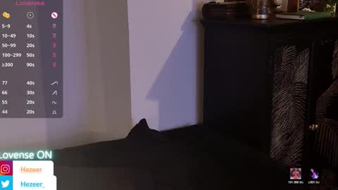 Musculus online show from 14, 3, 2026