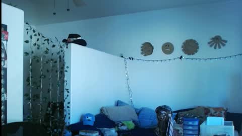 Snapshot of mycock4u247 chatting on 2, 3, 2025 LA MARIPOSA DE MARICOPA online show from 2, 3, 2025