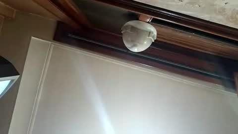 Maruychini online show from 15, 1, 2026