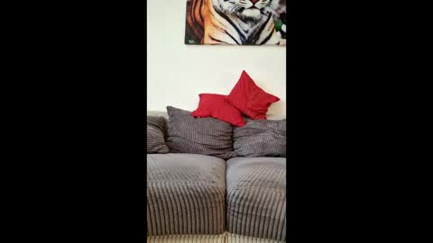 Snapshot of myrostus chatting on 4, 3, 2026 myrostus online show from 4, 3, 2026