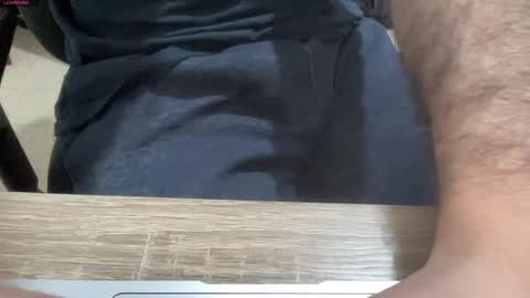 myStallion online show from 22, 1, 2025