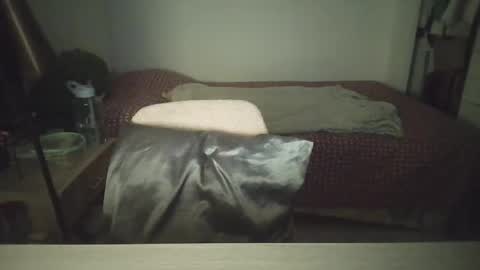 Demi online show from 2, 2, 2026