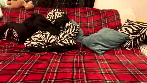 Snapshot of naked_for_fun chatting on 15, 12, 2024 unable nkd life online show from 15, 12, 2024