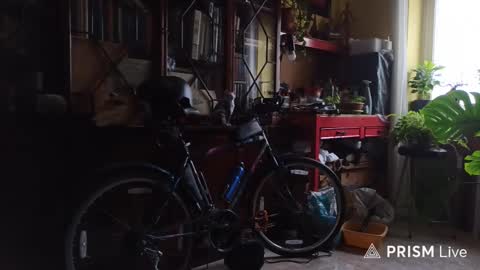 Naked Naturist online show from 13, 2, 2026