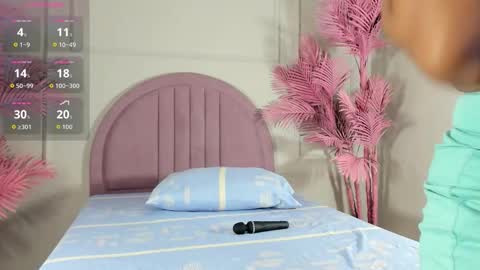 Snapshot of nalapalmer chatting on 14, 2, 2026 nalapalmer online show from 14, 2, 2026