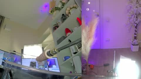 INSTAGRAM     bekkercat  online show from 3, 2, 2026