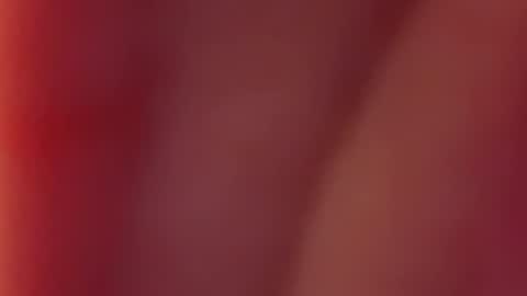 Snapshot of nancy_witch chatting on 12, 12, 2024 Nancy and Archi online show from 12, 12, 2024