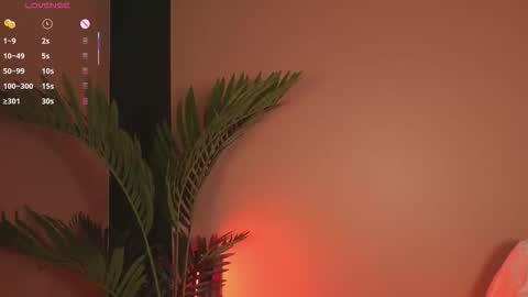 Snapshot of nanis_dash chatting on 20, 12, 2025 nanis_dash online show from 20, 12, 2025