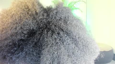 Naomii online show from 13, 11, 2025