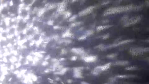 nastysubs69 online show from 20, 12, 2025