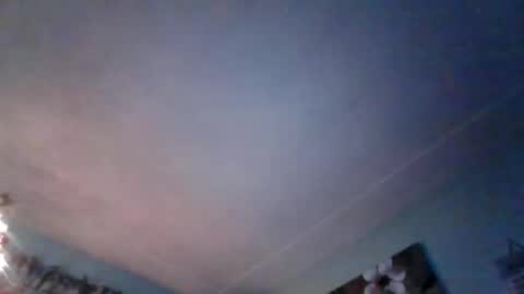 Snapshot of nataliedays chatting on 21, 12, 2024 Natalie  online show from 21, 12, 2024