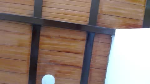 nath_dawson online show from 15, 11, 2025