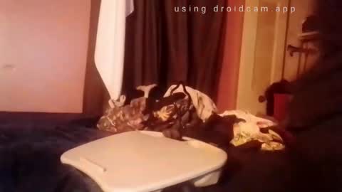 nathanbutler0 online show from 1, 11, 2025