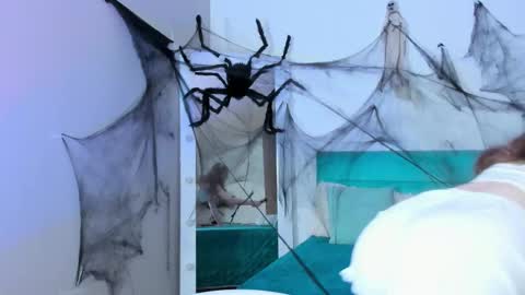 Meri online show from 27, 10, 2025