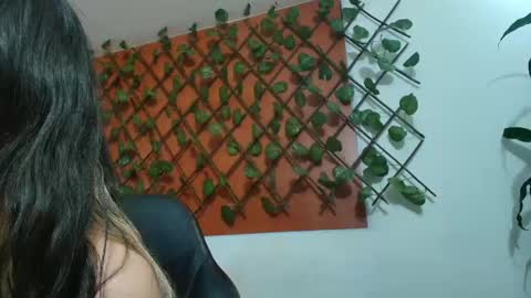 Kitten online show from 15, 4, 2026