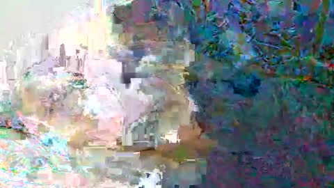 jn online show from 26, 3, 2026