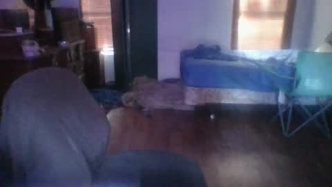 Snapshot of ned_is_naughty chatting on 24, 6, 2026 ned is naughty online show from 24, 6, 2026