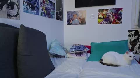 Neko online show from 21, 9, 2025