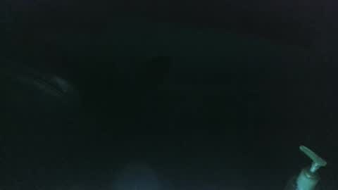 nelsonbucara online show from 8, 3, 2025