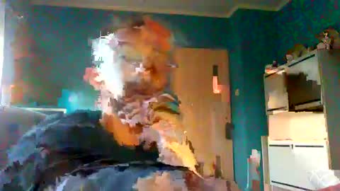 Snapshot of neverland966 chatting on 8, 2, 2025 Mark online show from 8, 2, 2025