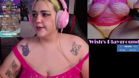 Snapshot of nevermakeawish chatting on 16, 1, 2026 Wishs Playground online show from 16, 1, 2026