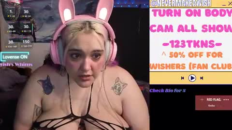 Wishs Playground online show from 7, 7, 2026