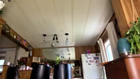 neversaynevrrr online show from 18, 4, 2026