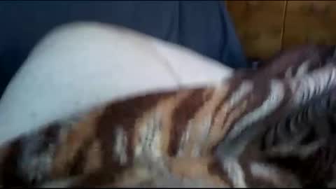 Matt online show from 1, 12, 2024