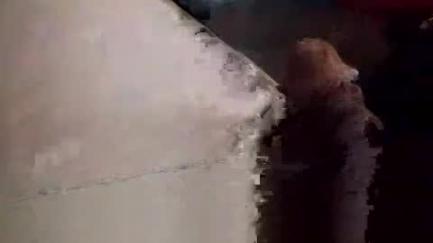 Matt online show from 23, 11, 2025