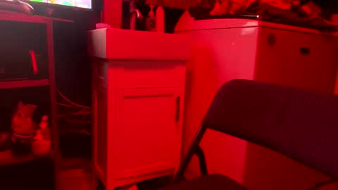 Daddy online show from 17, 5, 2026
