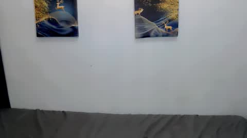 nhics and hades online show from 26, 11, 2025