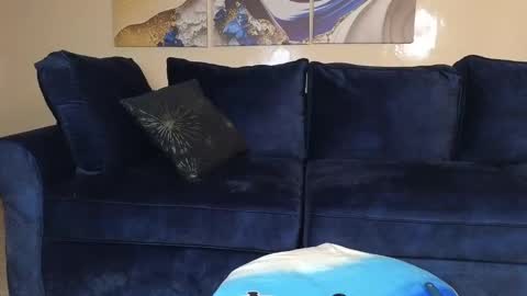 Lilly online show from 21, 12, 2024