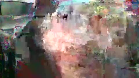 nick stavrou online show from 16, 2, 2026