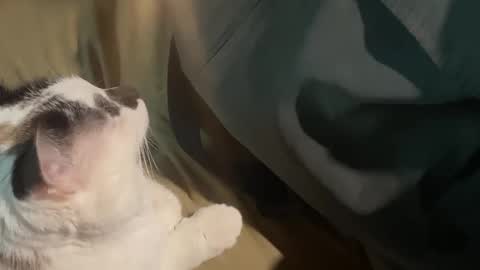 Snapshot of nick_and_bennie chatting on 19, 9, 2025 Nick f and Bennie m online show from 19, 9, 2025