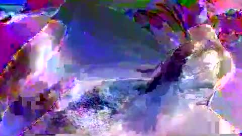 Nickyfruit online show from 8, 10, 2025