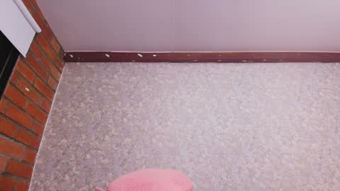 Nicol online show from 31, 12, 2024