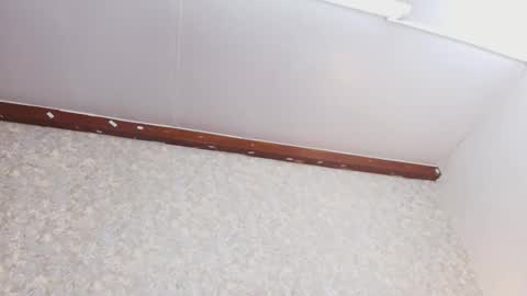 Nicol online show from 3, 10, 2025