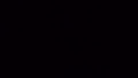 Snapshot of nicoleandbrian chatting on 17, 12, 2024 nicoleandbrian online show from 17, 12, 2024