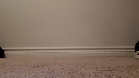 Snapshot of nicoleandbrian chatting on 31, 12, 2024 nicoleandbrian online show from 31, 12, 2024