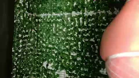 Snapshot of nicoleirisxxx chatting on 3, 7, 2026 nicoleirisxxx online show from 3, 7, 2026