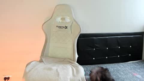 Nicol online show from 19, 12, 2025