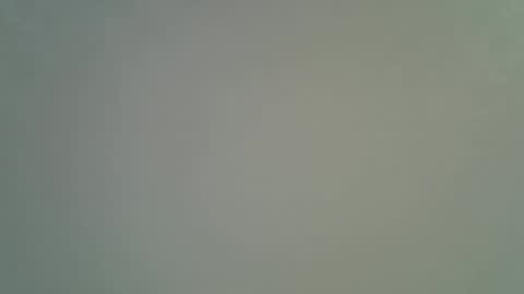 night__light online show from 4, 12, 2025