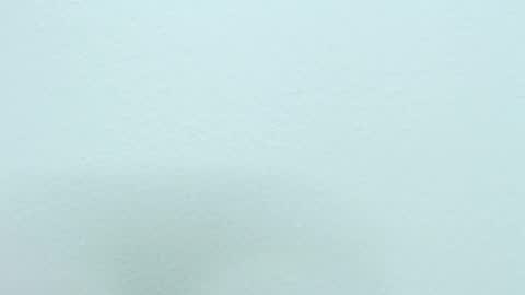 Nilly online show from 18, 12, 2024