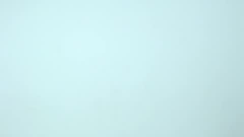 Nilly online show from 18, 12, 2024