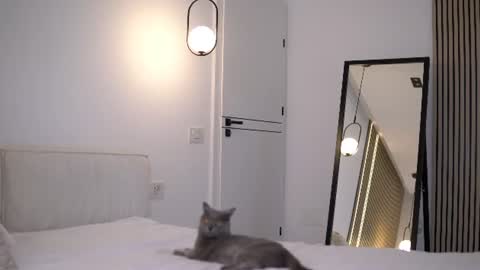 Nicole online show from 6, 7, 2026