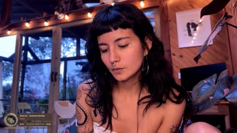 Nina.  online show from 22, 2, 2026