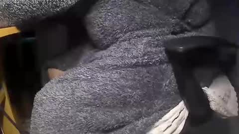 nineinchhard online show from 9, 12, 2024