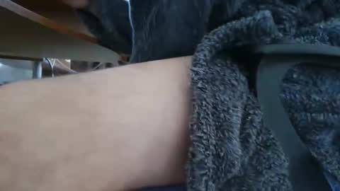 nineinchhard online show from 5, 3, 2025