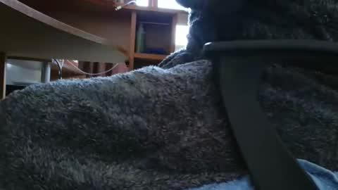 nineinchhard online show from 6, 3, 2025