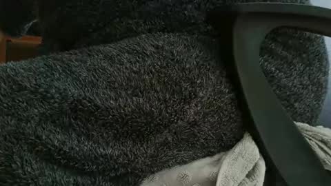 nineinchhard online show from 12, 10, 2025